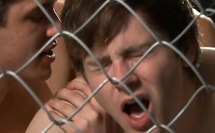Bareback Cage Play