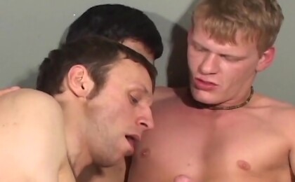 3 hung guys cocksucking