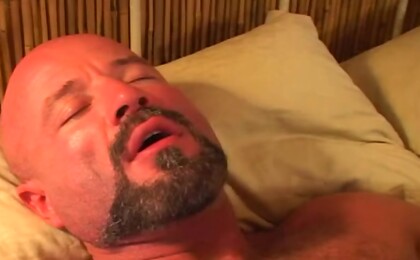 Fucking a Bear