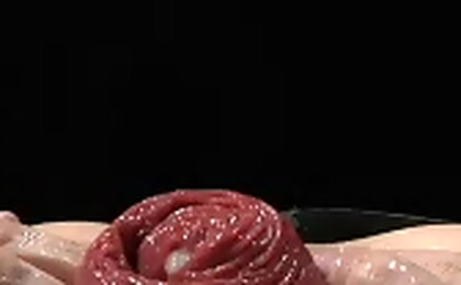 A bud of rose