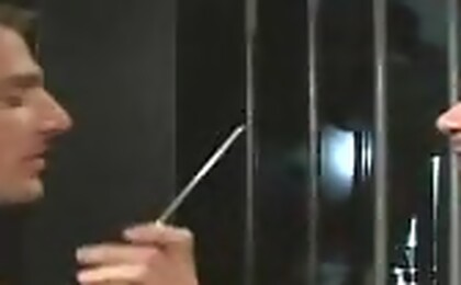Cock sounding scene