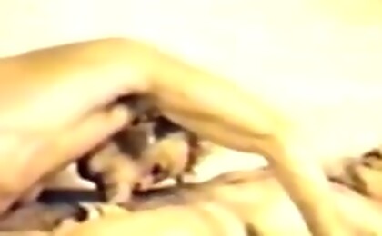 Vintage cock sucking in bed