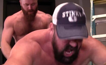 Blue Collar Bareback Bears