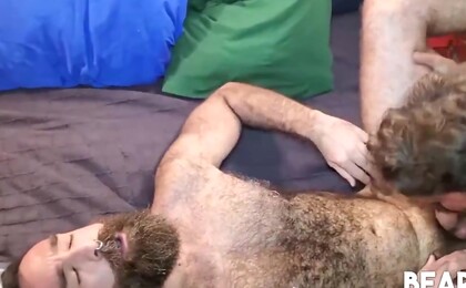 Bear Ale Tedesco Barebacks Hairy Cub Rob Hairy