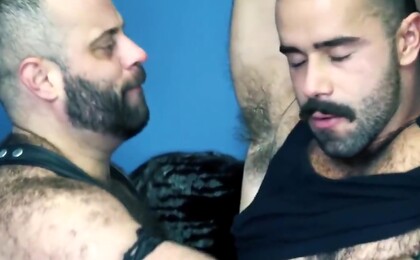 Dominant Wolf Slamming Bears Tight Ass