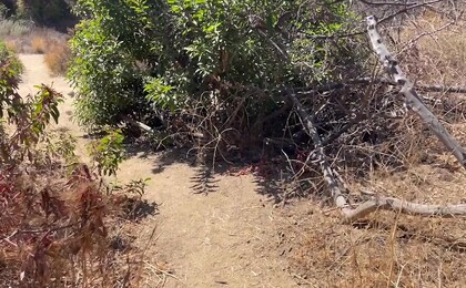 Topping Trailside