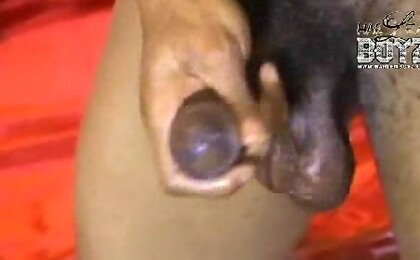 Gay Black Twins Jerking Off! 